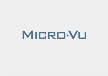 Vi Vu